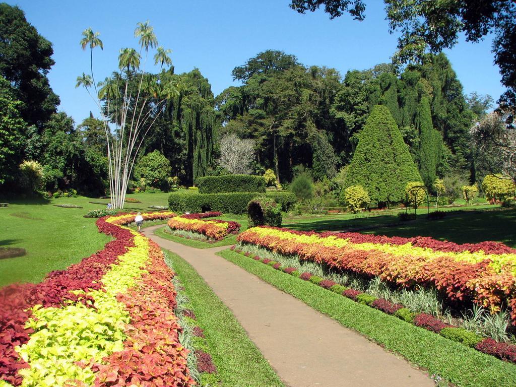 Kandy View Villa Exteriör bild